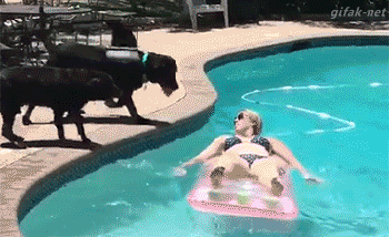 20 Awesome GIFs For Your Viewing Pleasure