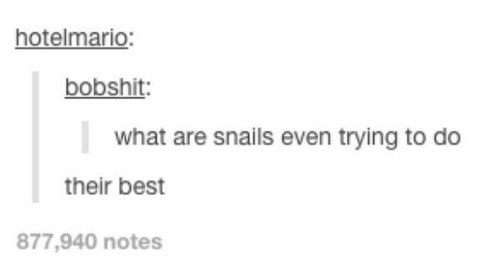 tumblr - do snails even do their best - hotelmario bobshit what are snails even trying to do their best 877,940 notes