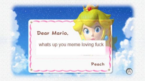 tumblr - new super mario bros wii - Dear Mario, whats up you meme loving fuck Peach