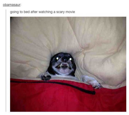 tumblr - me after watching a scary movie - obamasaur going to bed after watching a scary movie