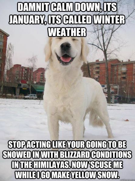 19 Coolest Winter Memes Ever