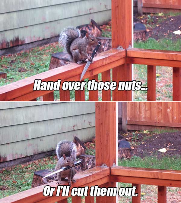 random Hand over those nuts.. Orl'll cut them out.