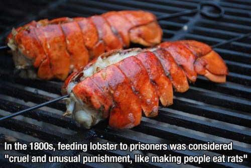 cruel and unusual punishment lobster - In the 1800s, feeding lobster to prisoners was considered "cruel and unusual punishment, making people eat rats"