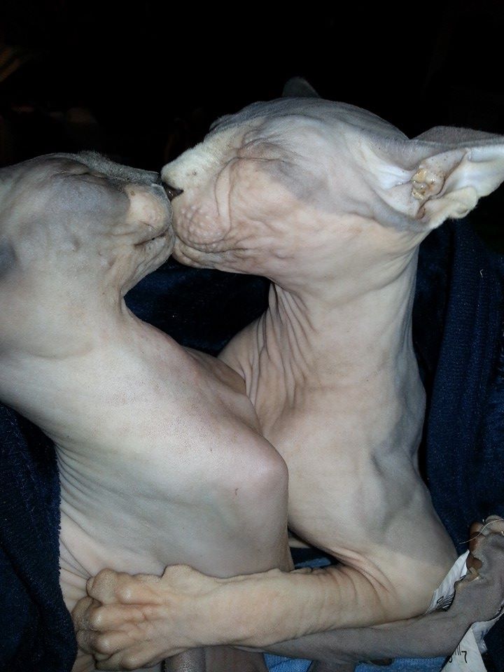 35 WTF Pics and Gif's To Start Your Week Off Right