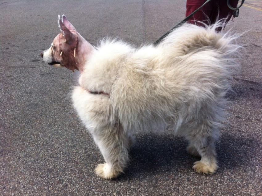 35 WTF Pics and Gif's To Start Your Week Off Right