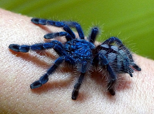 35 WTF Pics and Gif's To Start Your Week Off Right