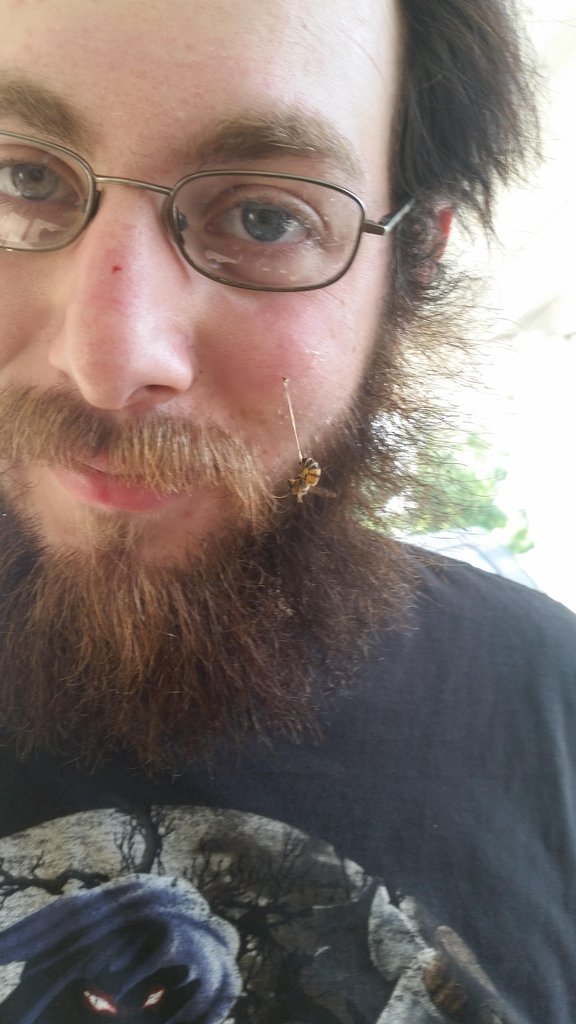 35 WTF Pics and Gif's To Start Your Week Off Right