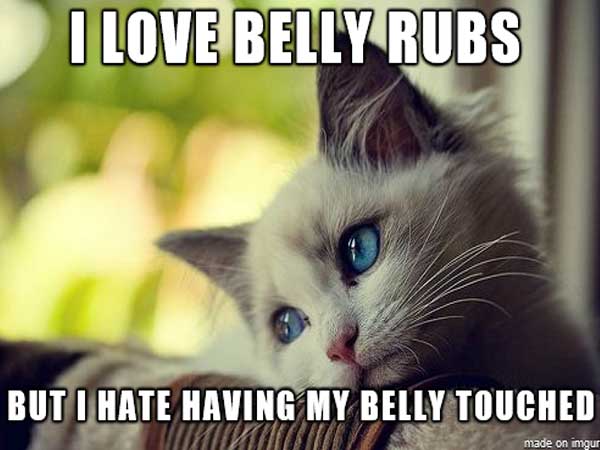 memes - don t want to leave you - I Love Belly Rubs But I Hate Having My Belly Touched made on imgur