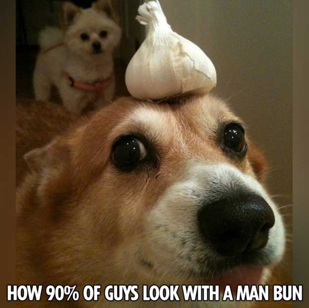 memes - garlic dogs - How 90% Of Guys Look With A Man Bun