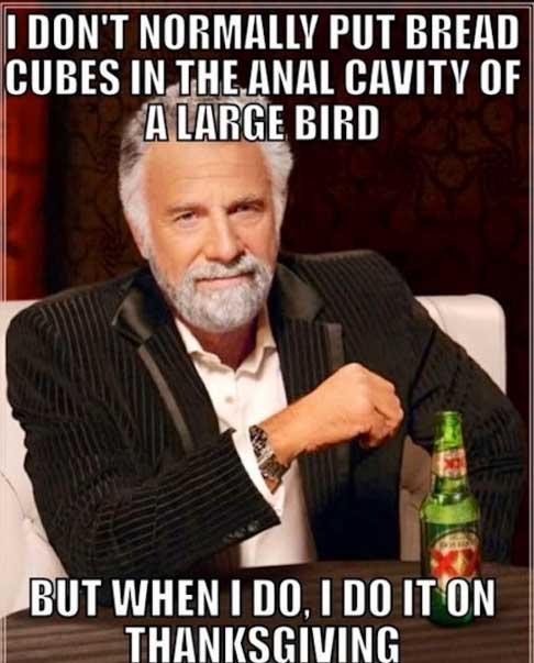 memes - thanksgiving meme funny - I Don'T Normally Put Bread Cubes In The Anal Cavity Of A Large Bird But When I Do, I Do It On Thanksgiving