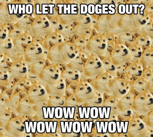 doge wallpaper hd - Who Let The Doges Out? Wow Wow Wow Wow Wow 3