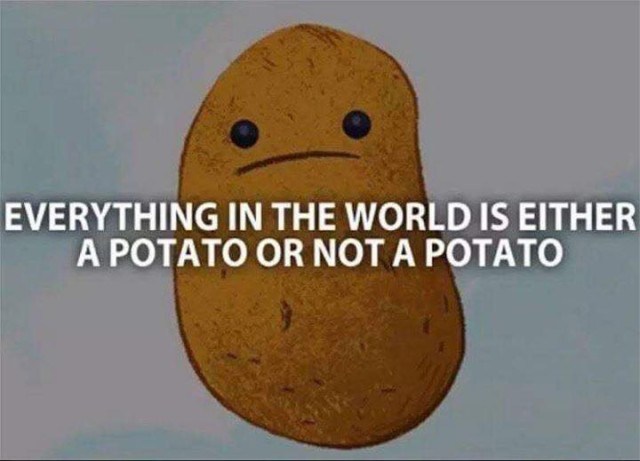 potato funny quotes - Everything In The World Is Either A Potato Or Not A Potato