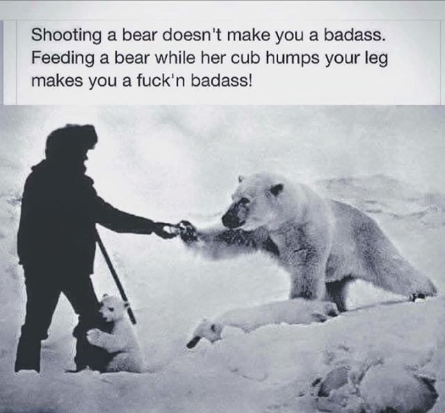 feed polar bear - Shooting a bear doesn't make you a badass. Feeding a bear while her cub humps your leg makes you a fuck'n badass!