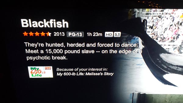25 Times Netflix Messed Up, And It Was Hilarious