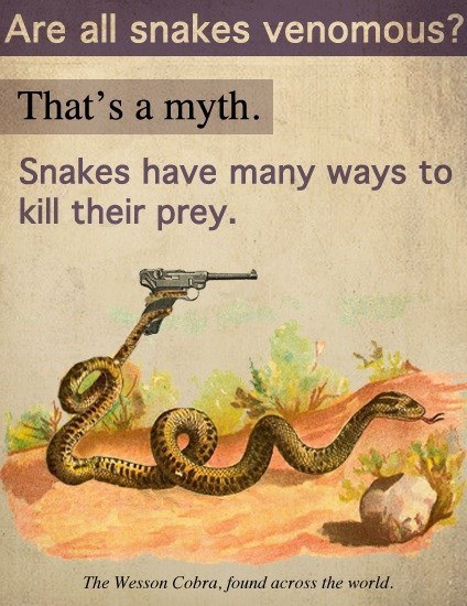 imperial infantryman's uplifting primer - Are all snakes venomous? That's a myth. Snakes have many ways to kill their prey. The Wesson Cobra, found across the world.