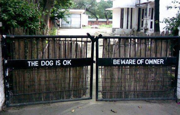 dog is ok beware of owner - The Dog Is Ok Beware Of Owner