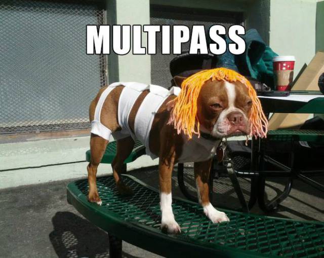 fifth element dog - Multipass