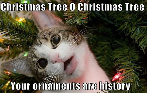 meme stream - operation christmas child - Christmas Tree O Christmas Tree Your ornaments are history