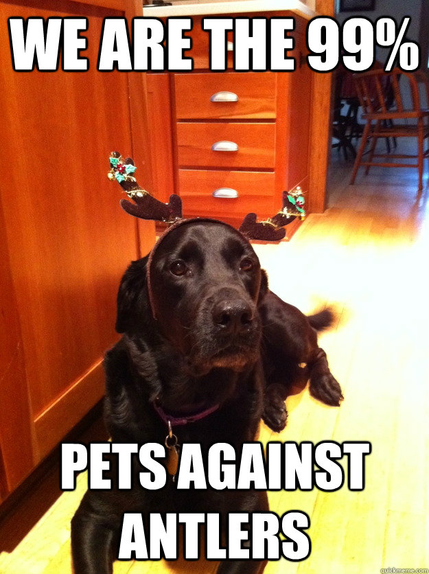 meme stream - dog christmas meme - We Are The 99% Pets Against Antlers quickmeme.com