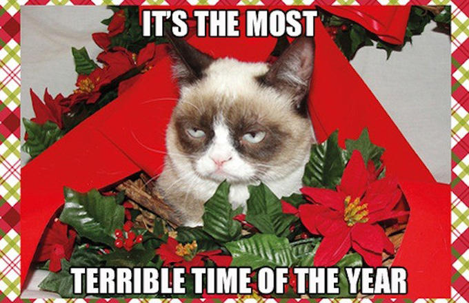 meme stream - grumpy cat christmas - It'S The Most Terrible Time Of The Year