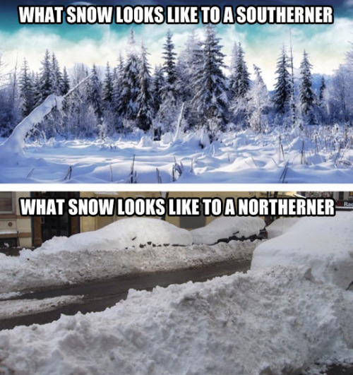 snow in south meme - What Snow Looks To A Southerner What Snow Looks To A Northerner
