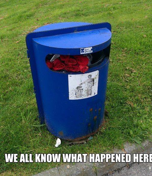 roses in trash can - We All Know What Happened Here