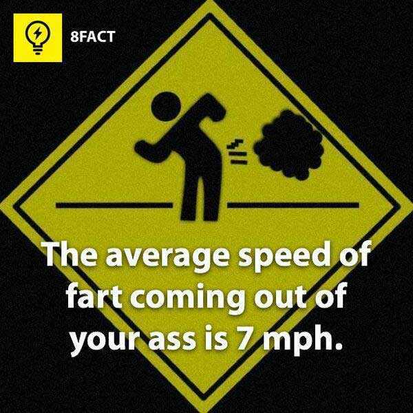 fart facts - 8FACT Sfact Ori Ind The average speed of fart coming out of your ass is 7 mph.