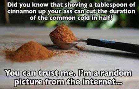 spoonful of cinnamon up your ass - Did you know that shoving a tablespoon of cinnamon up your ass can cut the duration of the common cold in half? You can trust me. Pm a random picture from the internet.co