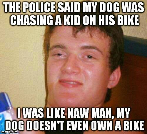 every kiss begins with k - The Police Said My Dog Was Chasing A Kid On His Bike I Was Naw Man, My Dog Doesnt Even Own A Bike im atlip.com