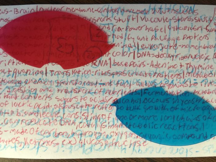 cool red and blue notes - EusBrainlawien membraneconfio hakeme h elik mo wyspurk StupH wucovle Stores story endriaRower hasel tenirse podffy and Package Protiens nalleurergut & nomchbrat color Dnadeoxyribonucleic UNAlbase fairsAdeninc Thymine HEAVenceltan