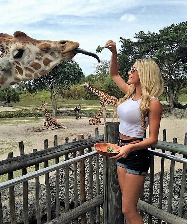 hot girl with giraffe - Ht Cu