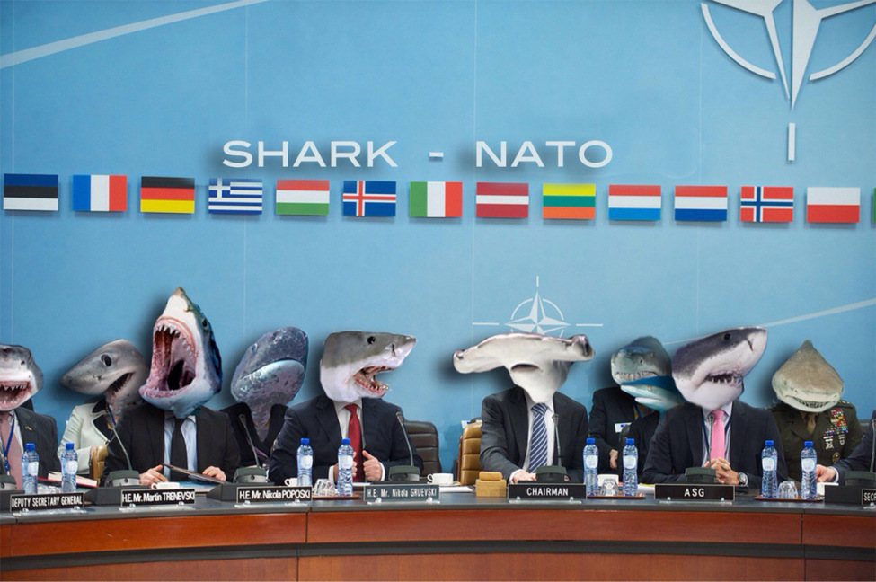 shark nato - u Shark Nato Spie He Mr. Neda POPOST2 Chairman He. Wt. Nikola Gruevs He M. Martin Trb Evs Asg Deputy Secretary General