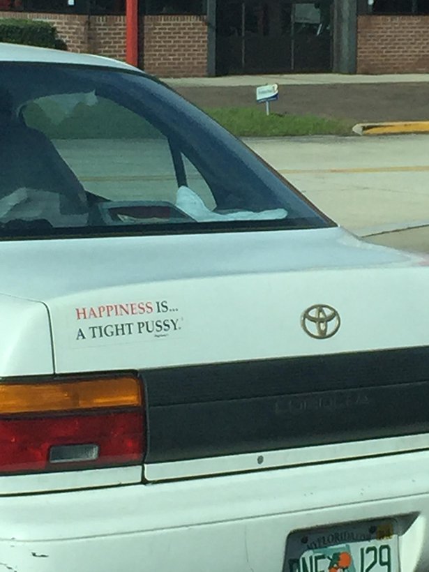 vehicle registration plate - Happiness Is... A Tight Pussy