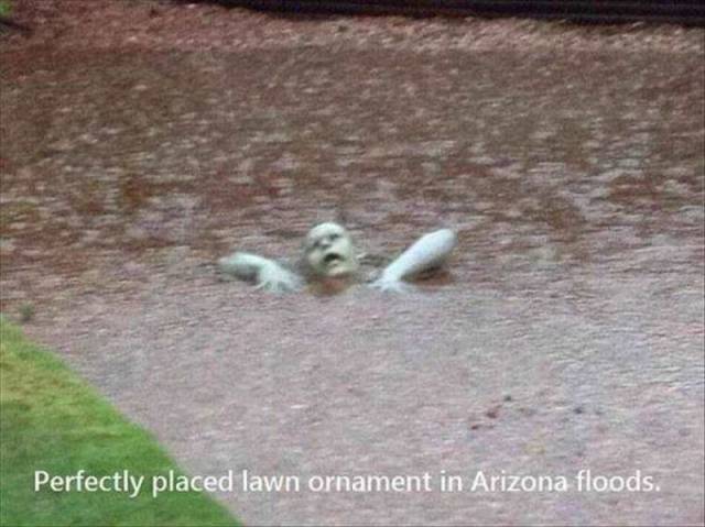 funny funny flooding - Perfectly placed lawn ornament in Arizona floods.
