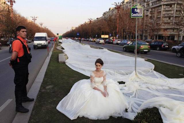 funny longest wedding dress train - Constitute