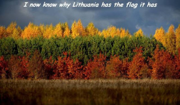lithuania flag nature - I now know why Lithuania has the flag it has