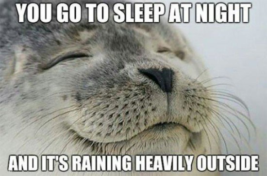 feeling when you are right meme - You Go To Sleep At Night And It'S Raining Heavily Outside