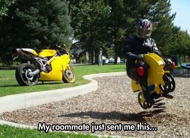 funny ducati - My roommate just sent me this...