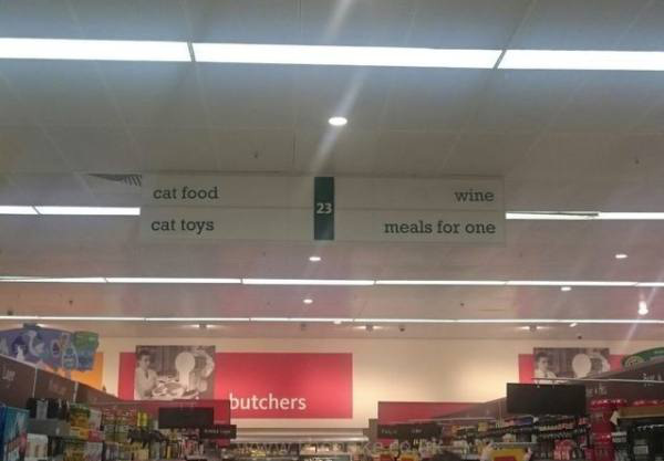 everything i need in one aisle - cat food wine meals for one cat toys butchers