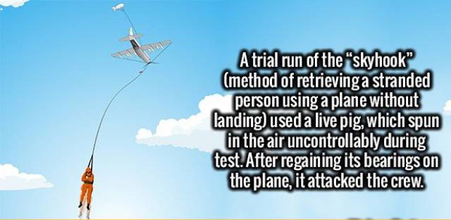 sky - A trial run of the "skyhook method of retrieving a stranded person using a plane without landing used a live pig, which spun in the air uncontrollably during test. After regaining its bearings on the plane, it attacked the crew.