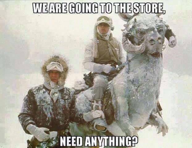 funny winter storm - Weare Going To The Store Need Anything?