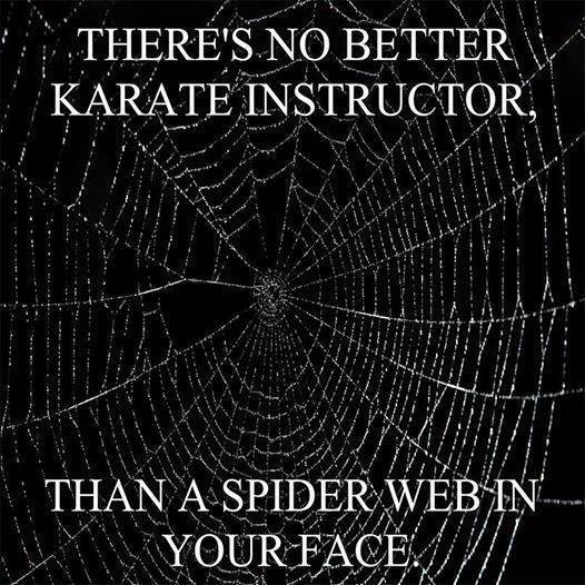 spider web karate meme - Ther'S. No Better Karate Instructor, | Than A Spider Web In Your Face Vi