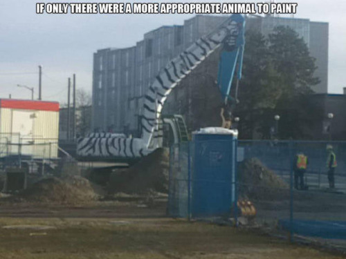 demolition - If Only There Were A More Appropriate Animal To Paint