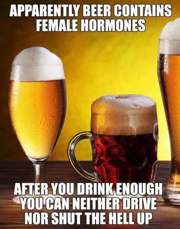 successful black man meme - Apparently Beer Contains Female Hormones After You Drink Enough You Can Neither Drive Nor Shut The Hell Up