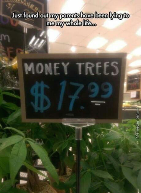 street sign - Just found out my parents have been lying to me my whole life... m Money Trees, $17.994 MemeCenter.com