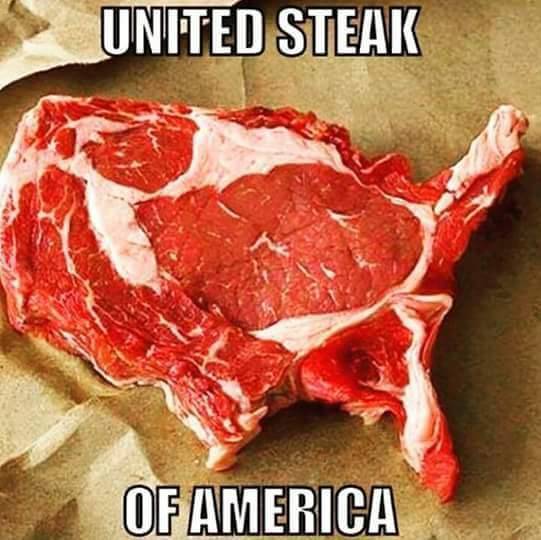 steak shaped like america - United Steak Of America