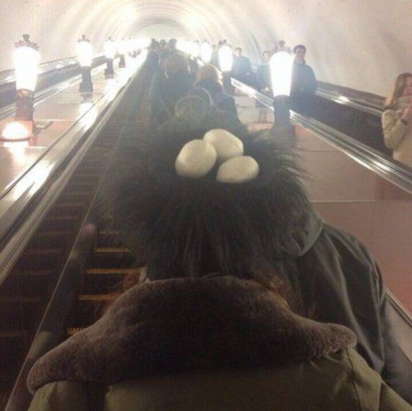 egg nest on a persons head