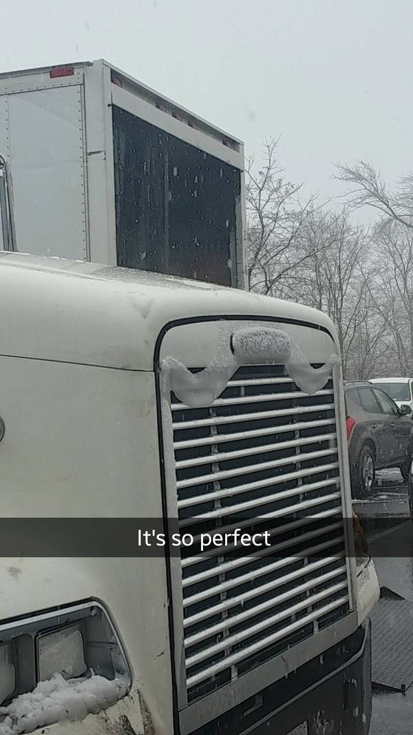 truck - It's so perfect
