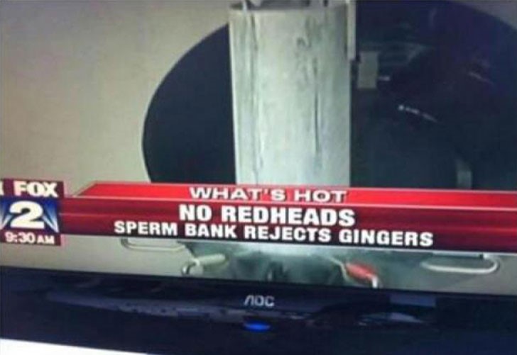 Red hair - Whatis Hot No Redheads Sperm Bank Rejects Gingers Noc