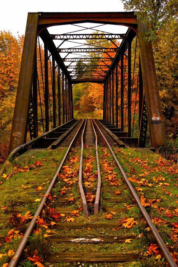random autumn railroad